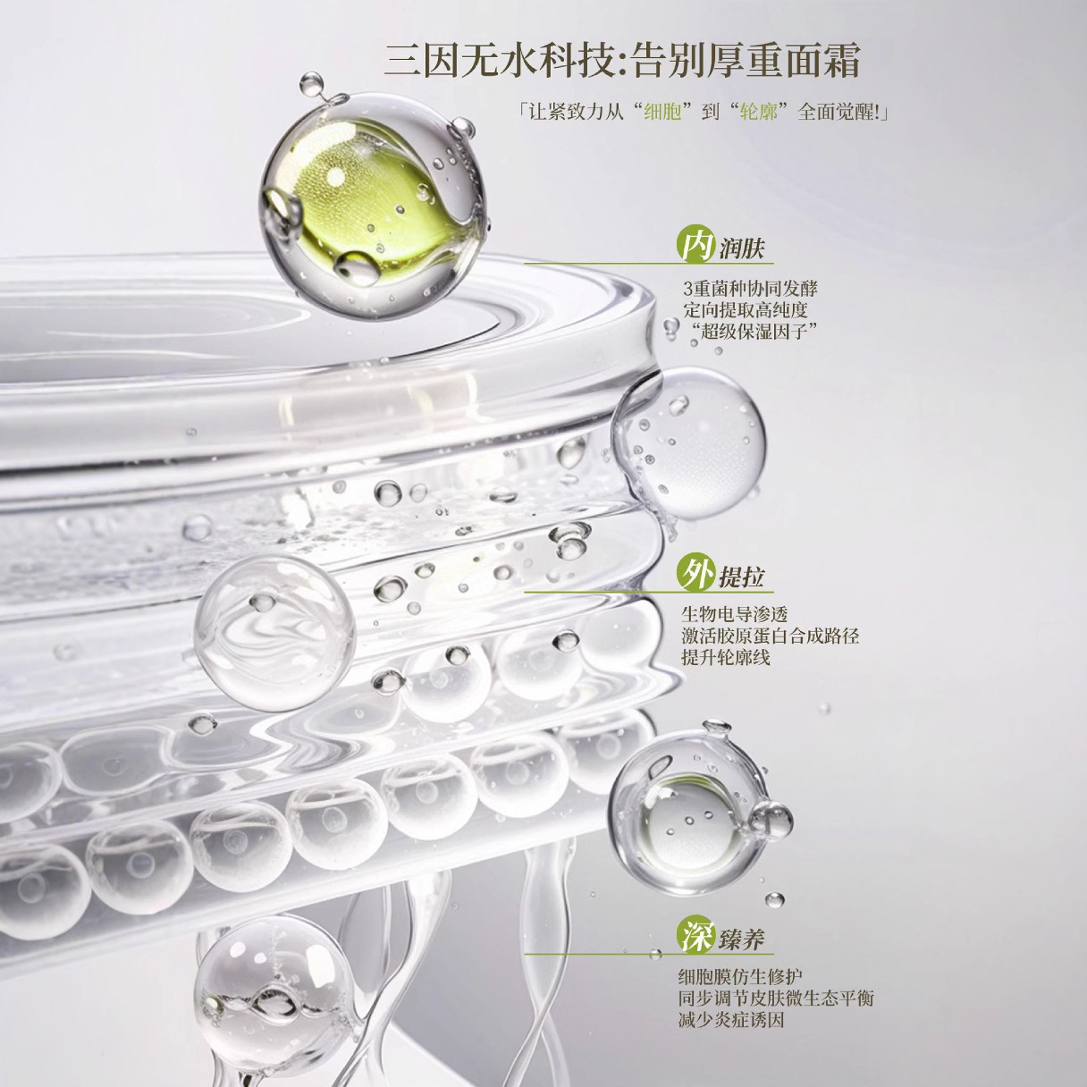 Chinese Herbal Medicine Waterless Fermentation Cactus Micro Do Non-Invasive Ai Modeling Face Helena Rejuvenating Lifting Three Factors Vitality