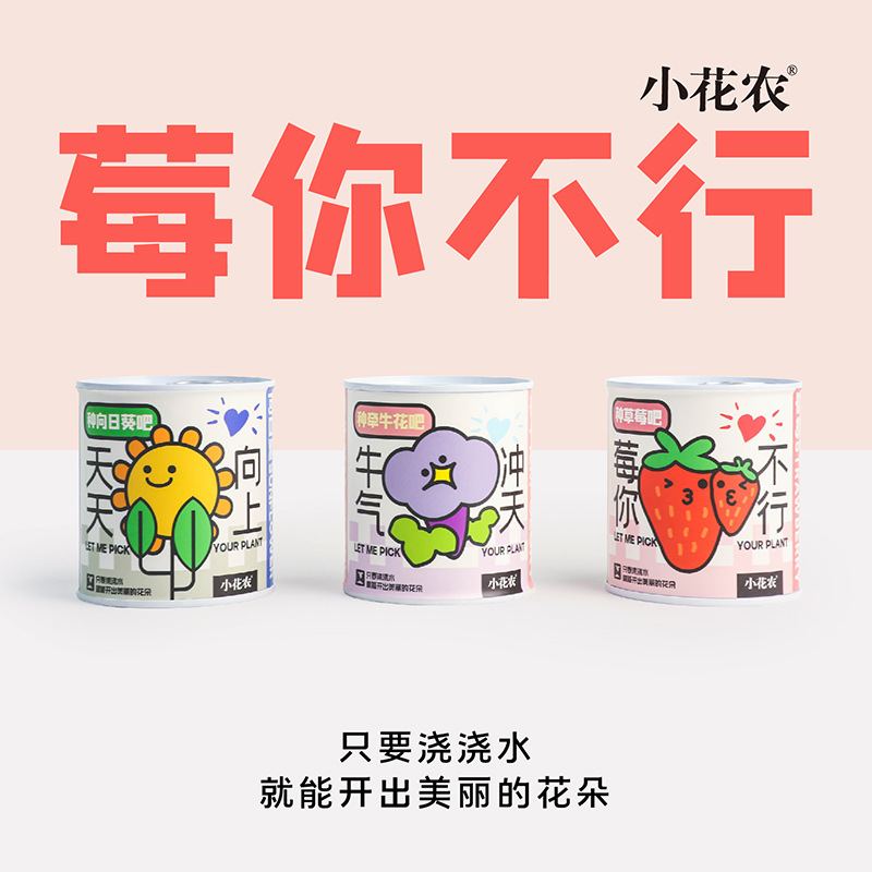 Kindergarten Children Planting Small Potted Plants Students Mini Fruit Small Potted Plants Blind Box Office Indoor Desktop Green Plants