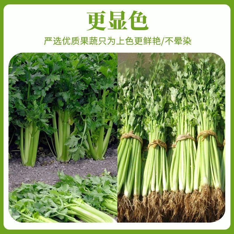 Li Shizhen Celery Powder Celery Powder Meal Replacement Powder Health Powder Processing Oem Customization Ready Stock Wholesale