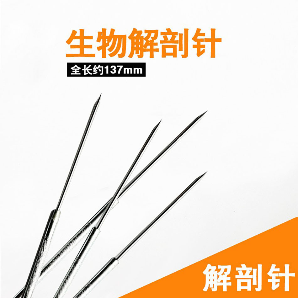 Anatomy Needles for Junior High School Students Experimental Equipment Stainless Steel Probe Insect Anatomy Needles Biological Anatomy Tools