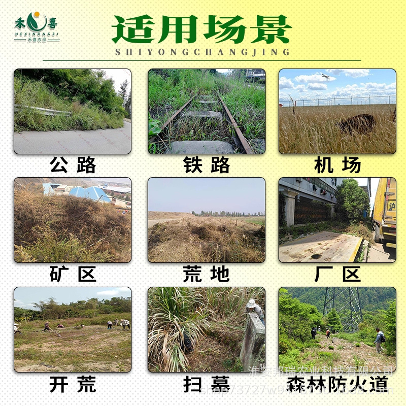 75% Methoxyfen Herbicide and Root Rot Agent Sweeps Away Weeds, Shrubs, Reeds, Wastelands, Roads and Railways