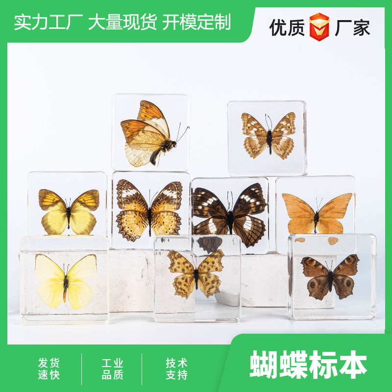 Сценическая точка рыночного прилавка, горячие продажи насекомых, янтарный образец, образец бабочки, сувениры для путешествий, креативные украшения