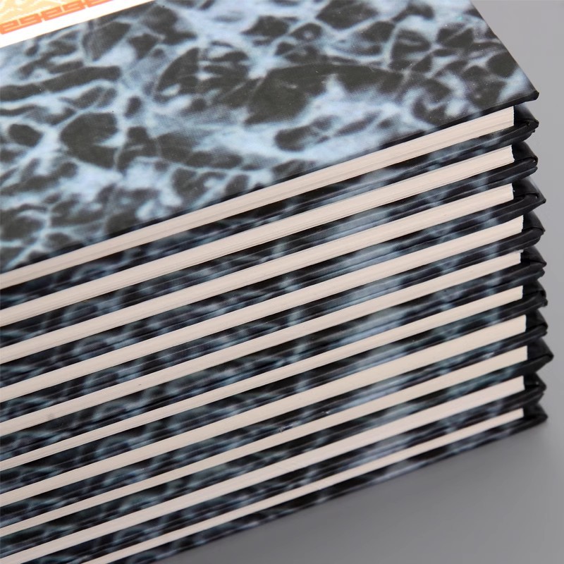 Lixin 261D general ledger accounting financial ledger detail book book book book Journal General Ledger