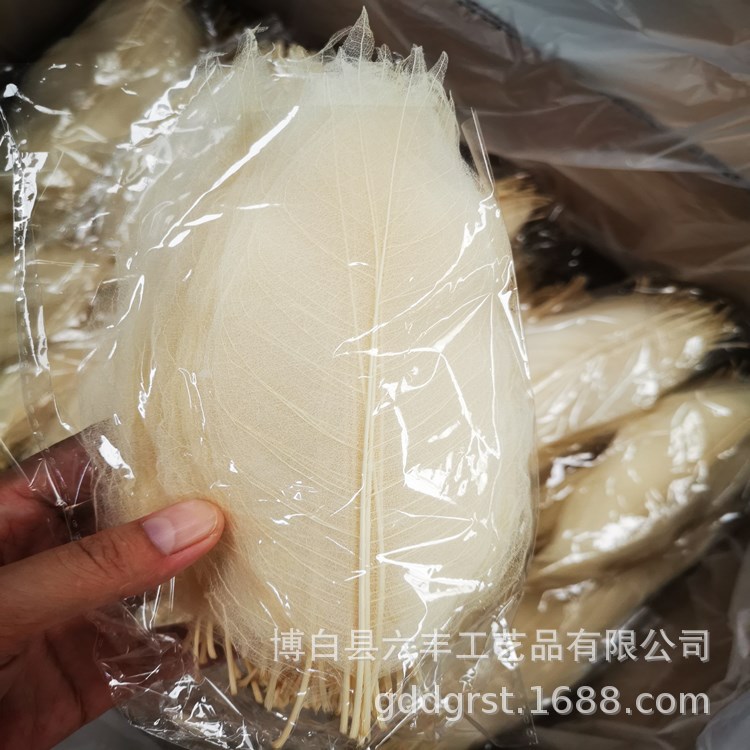 Leaf Vein Magnolia Leaf Vein Boutique Leaf Bookmark Diamond Leaf Photo Frame Wall Decoration Embossing Factory Direct Sale