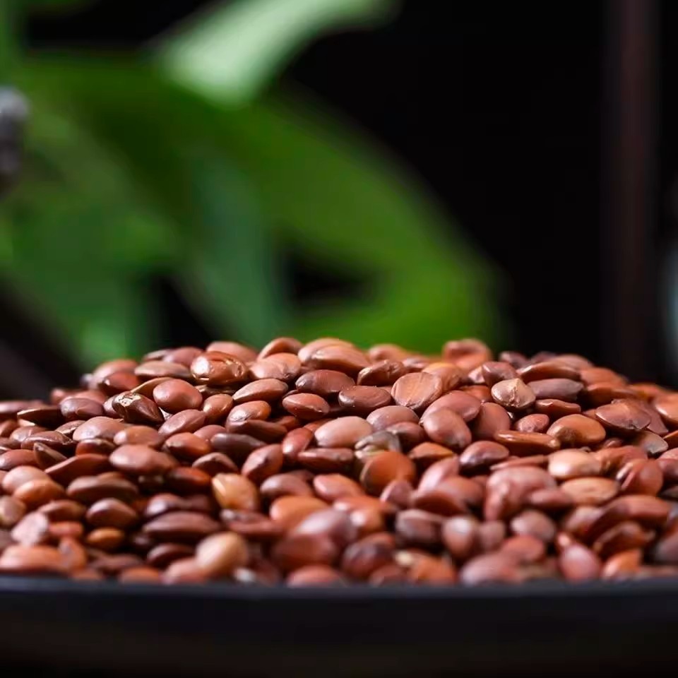 [Freshly Ground Jujube Kernel Powder 300G/Can] Oem Manufacturer Fried Medicinal and Edible Jujube Kernel Powder Wholesale