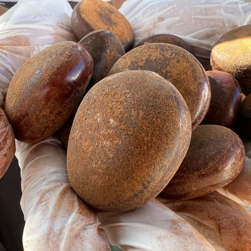 Peace Bean Raw Materials Dragon Bean Arhat Bean Guojiang Longzi Wood Kidney Ethnic Style Rattle DIY Raw Materials