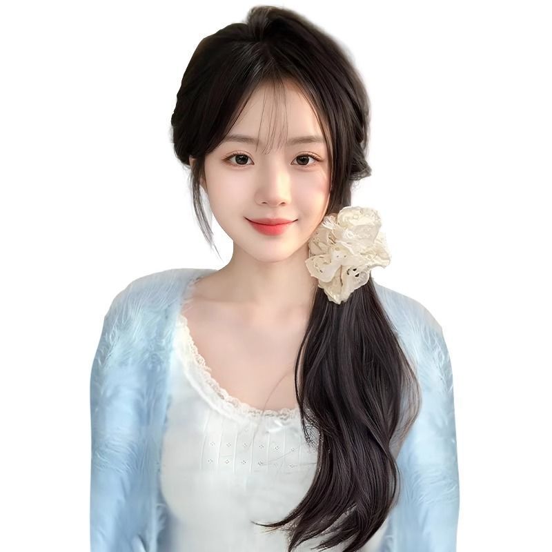 Wig for Women, New Chinese Style Ponytail Lace Half-Tied Hair, Low Ponytail Side Wig, Fashionable Natural Ponytail Wig