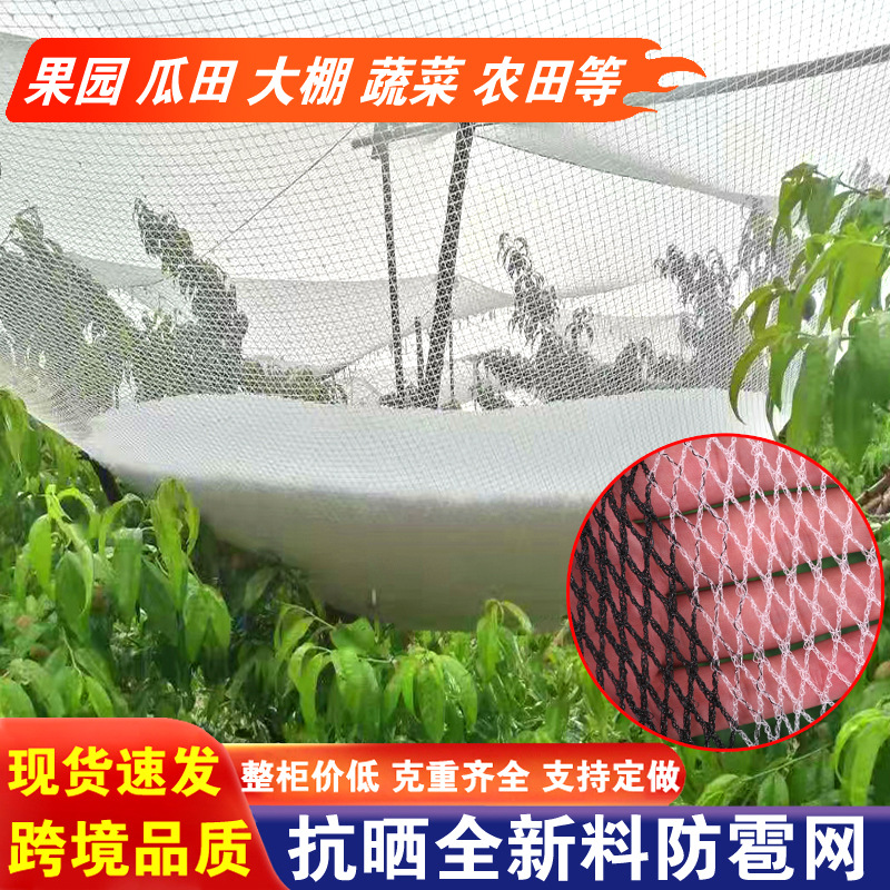 Международная поставка противоградовой сетки для горных садов, полиэтиленовая плетеная сетка, защитная сетка для рыбных прудов