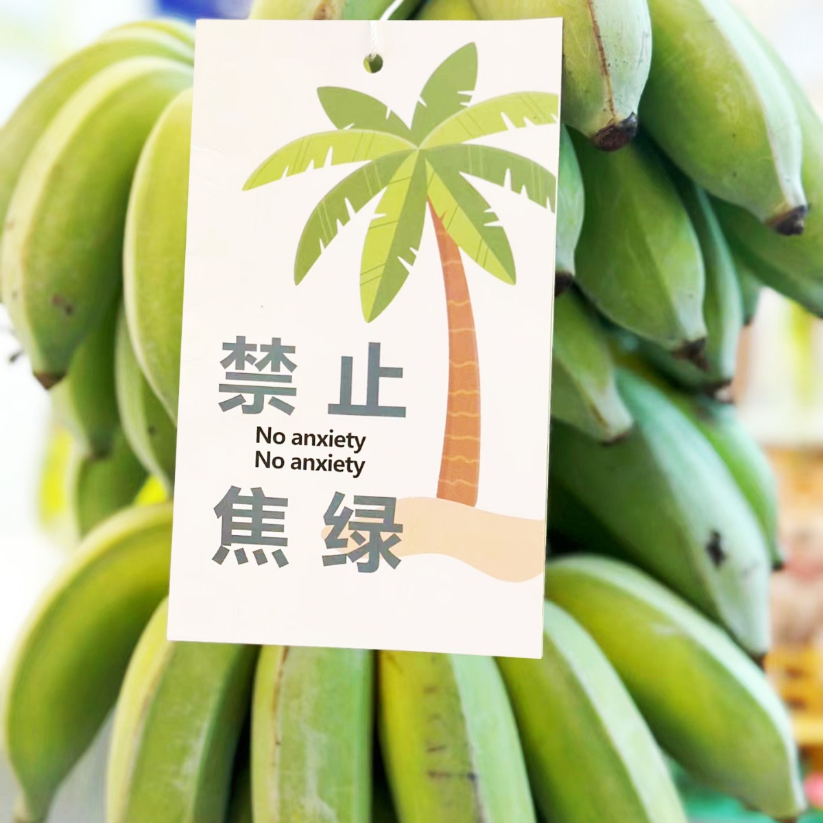 Whole Bunch of Bananas with Stems, Fresh Fruit, Hydroponic Green Plants, Anxiety-Relief, Dropshipping, Naturally Ripe, Sweet, from Guangxi