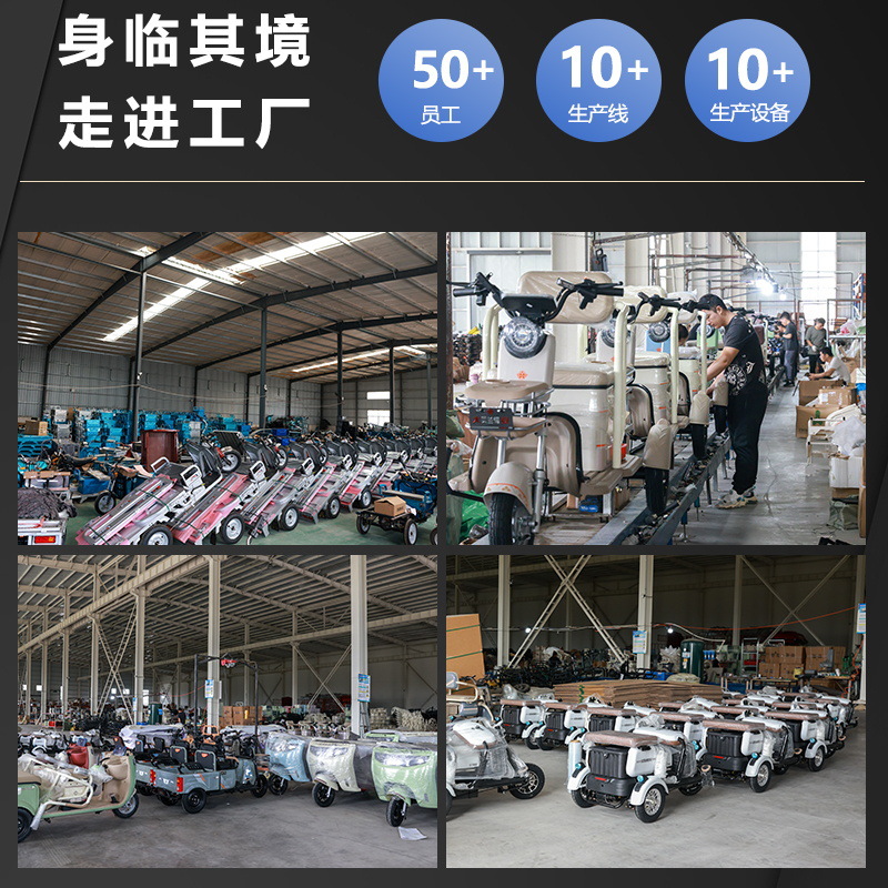 Cross-Border Electric Tricycle for Cargo, Agricultural Battery Vehicle, Heavy-Duty Climbing Mountainous Area Household High-Power Electric Tricycle