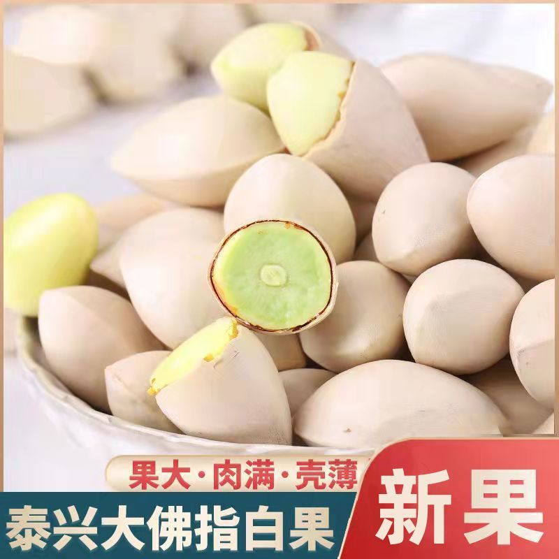 2024 New Extra-Large Fresh Ginkgo Biloba from Taixing, Whole, Unbleached, and Plump 1.5kg