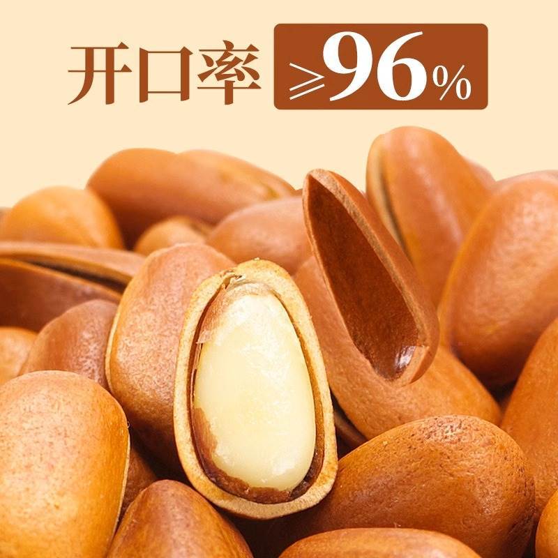 Pine Nuts Extra Large Particles Northeast 2023 New Arrival Brazilian Open Pine Nuts Nut Snacks in Bulk