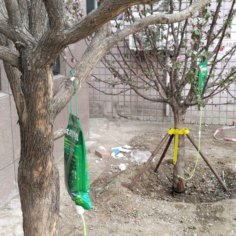 Guoguang Tree Infusion Bag Empty Bag Moved to Intravenous Original Solution Nutritional Express Shitaohuo Concentrated Original Solution Nutritional Solution