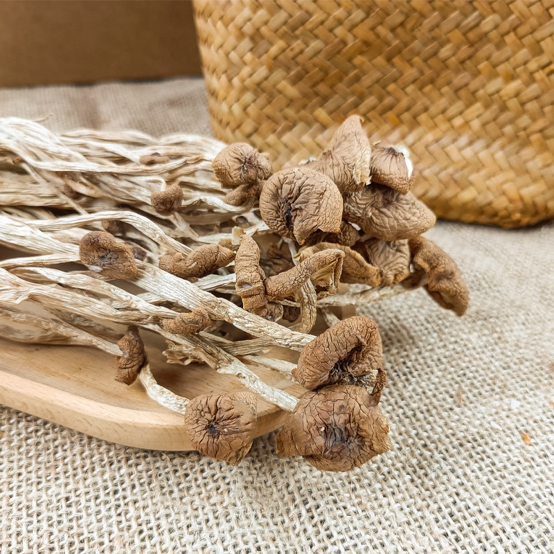 Dried Gutian Tea Tree Mushrooms, Farm Specialty Shiitake Mushrooms, Sulfur-Free, Unopened Caps, Suitable for Soup, Packaged 100g