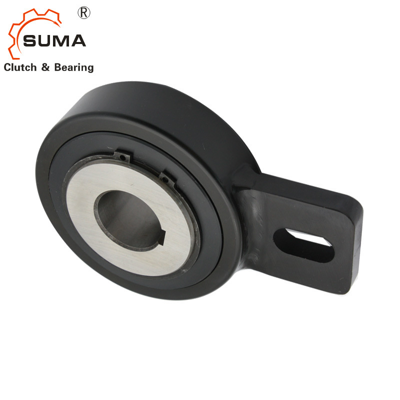 Rsbw Series Backstop One Way Clutch with Torque Arm