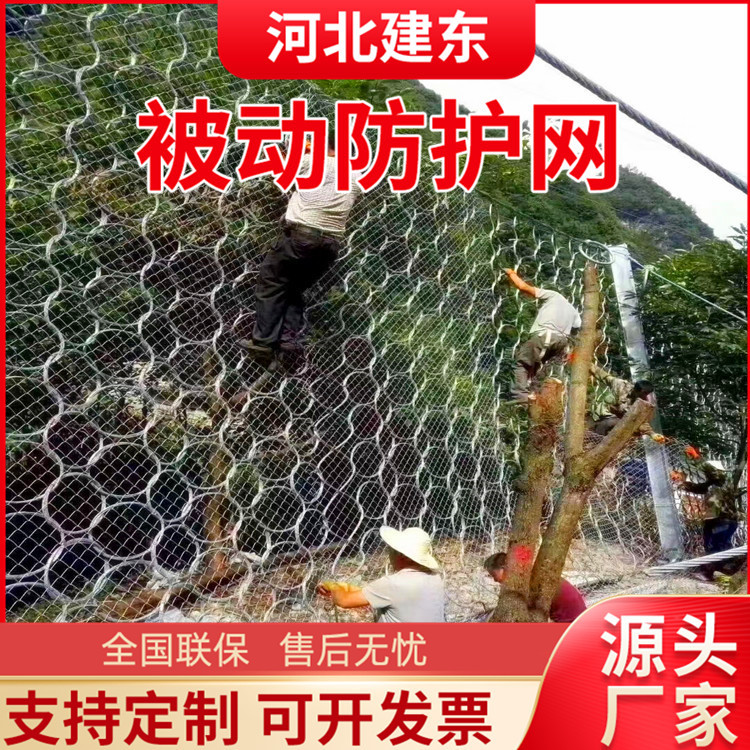 Active Protection Net, Soil-Fixing Slope Protection Steel Rope Net, Road Road Mountain Falling Stone Anti-Fall Net, Diamond-Shaped Grille Net