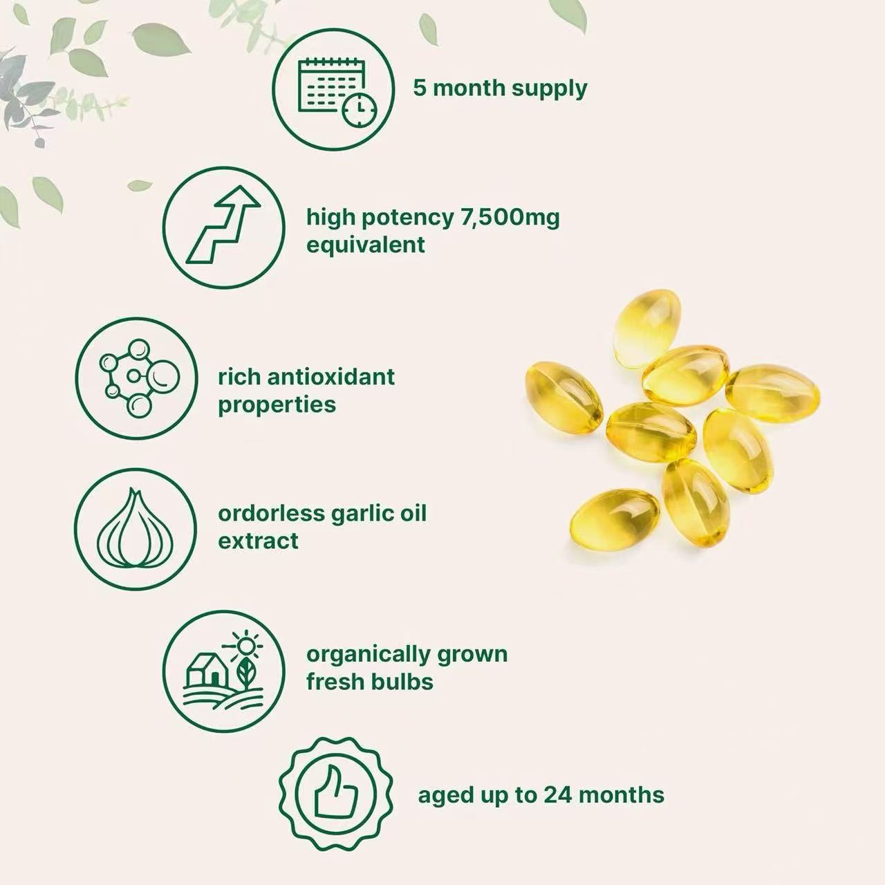 New Product Amazon Cross-Border Best-Selling Aged Garlic Extract Unscented Garlic Oil Soft Capsule O Em