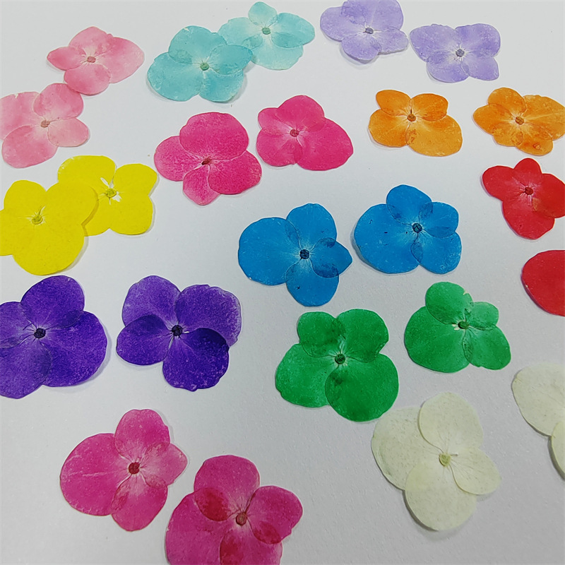 Гортензия Фиолетовый Подсолнечник Круглая клапанная гортензия Сухие цветы Фабрика Тисненная рамка для фото Образец для обучения студентов DIY Ручная работа