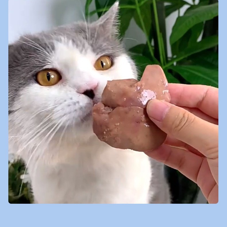 Berry Xiaomeng Steamed Chicken Liver Pet Snacks for Cats and Dogs Nutritious Companion Boiled Chicken Liver for Cats and Dogs