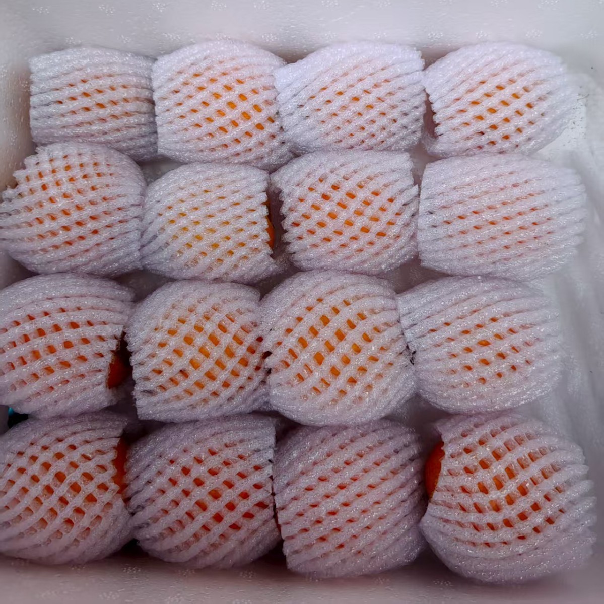 Yunnan Dafu Xing Loquat 2.5kg Large Fruits, Freshly Picked Seasonal High Mountain Loquat Fruit with Free Shipping from Yunnan High Mountains