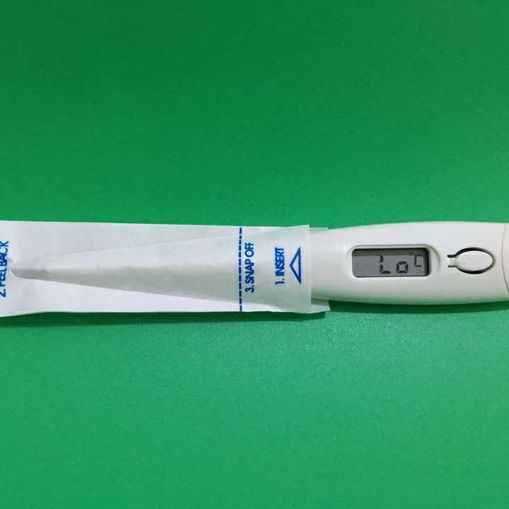 Electronic thermometer film protective cover special disposable mouth watch cover pet Mercury anal watch cover hospital supplies