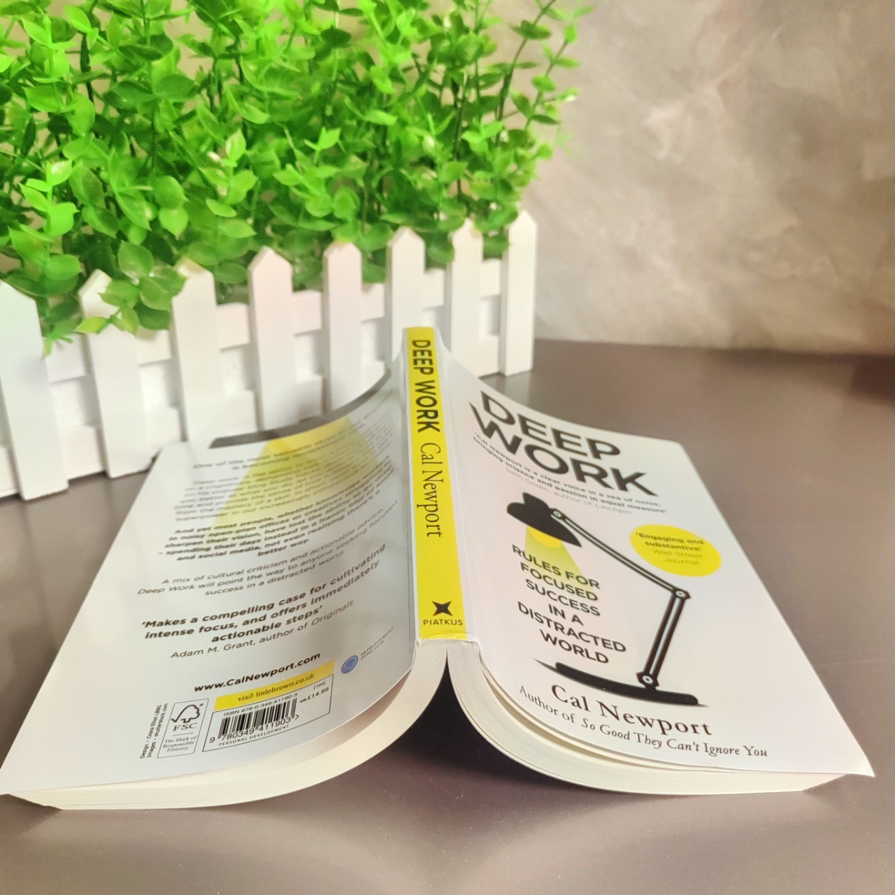 Deep Work English Version a Distracted World English Version Deep Work