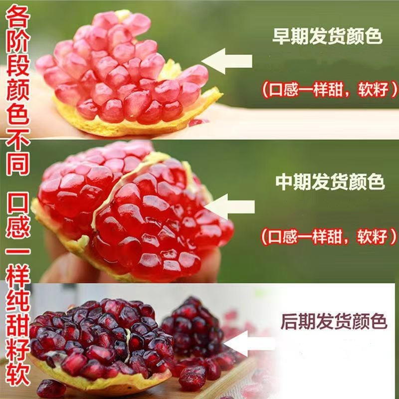 Tunisian Soft Seed Pomegranate Fresh Fruit 5kg Large Fruits Whole Box Sweet Sichuan Huali Pomegranate Seedless Seasonal