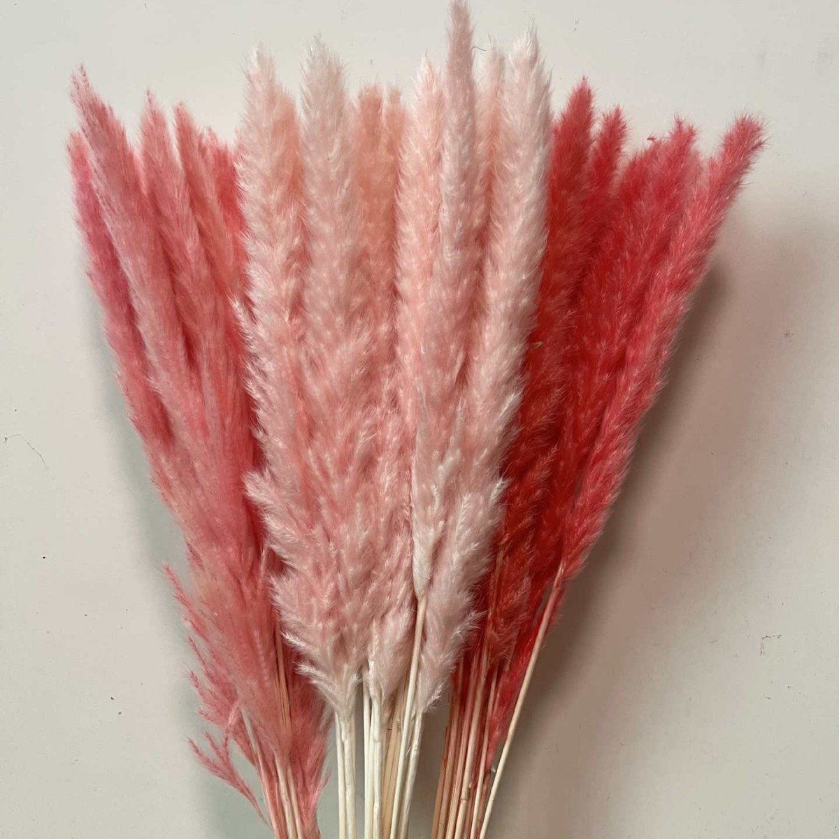 Small Dried Reed Flower Bouquet, Handmade DIY Home Decoration, Factory Direct Supply, Wholesale, Cross-Border Exclusive Supply