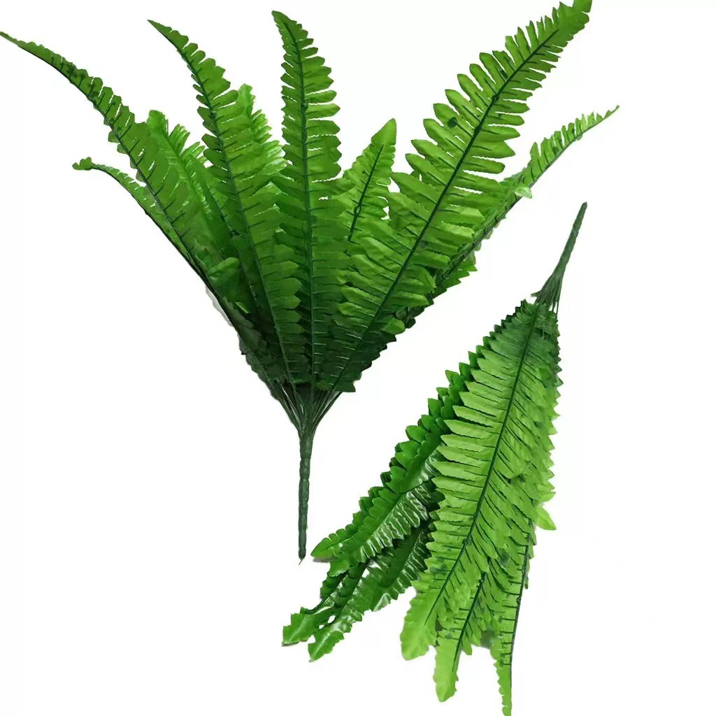 Simulated Plant Accessories Green Plant Simulated Persian Leaf Fern Imitation Grass Wall Hanging Indoor Green Background Wall Decoration