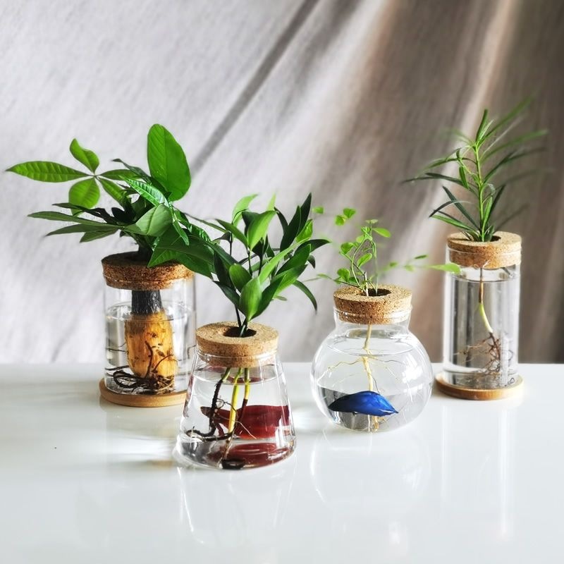 Wholesale Micro Landscape Bottle Office Desktop Plant Ecological Bottle Fish Tank Vessel High Borosilicate Hydroponic Glass Vase