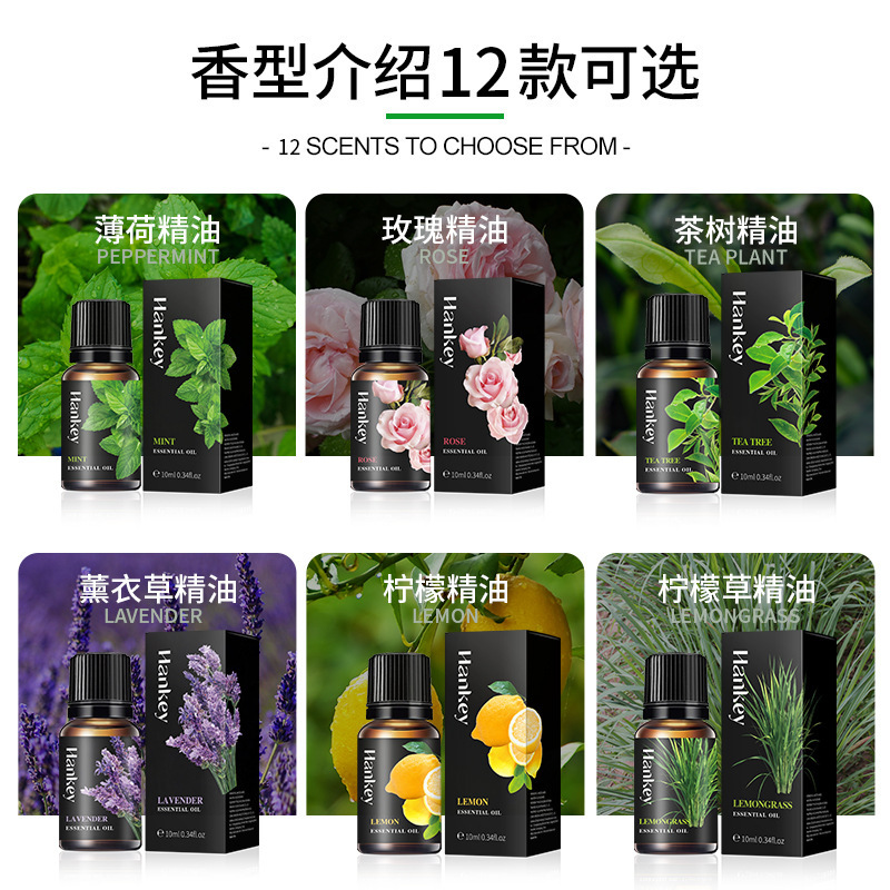 Rose Lavender Mint Massage Essential Oil 10ml Korean Plant Essential Oil Export Cross-Border Full English