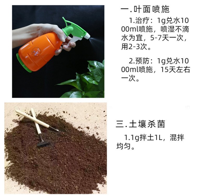 100g Guoguang Carbendazim Fungicide Carbendazim Universal Anther Fungicide Rose Succulent Green Dill Plant