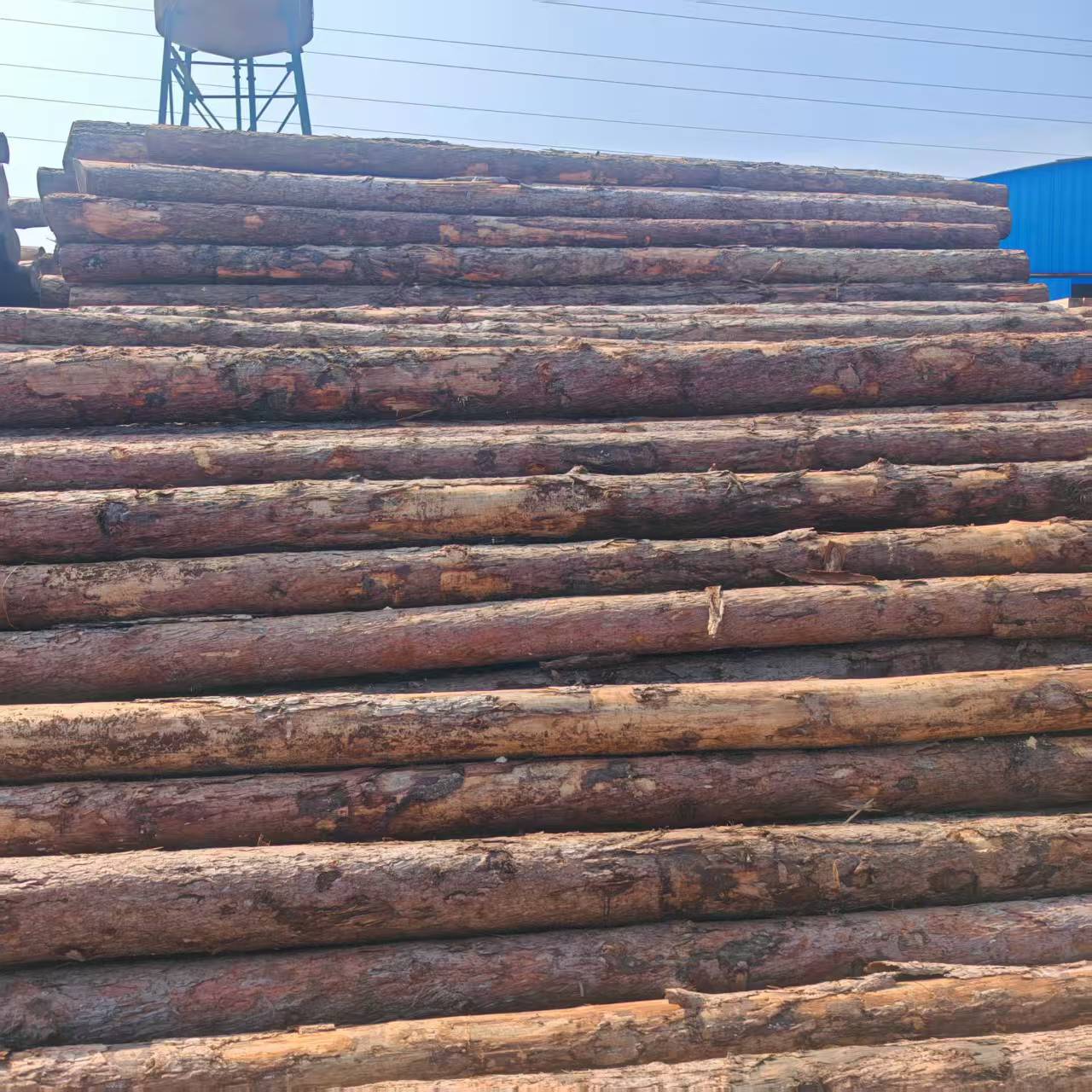 Larch Pile Wood Pine Pile Revetment Embankment Slope Protection Diameter 10cm Aosong Fir Log Can Be Sharpened Fir Wood