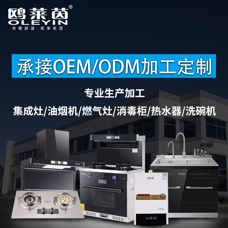 Вытяжка Gull Rhine OLEYIN, газовая плита, дезинфекционная камера, электрический водонагреватель