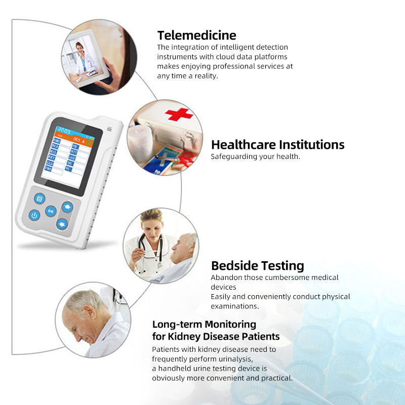 Foreign Trade Cross-Border Bc401 Digital Urine Analyzer for Pets or Veterinary Use 11-Parameter Instrument