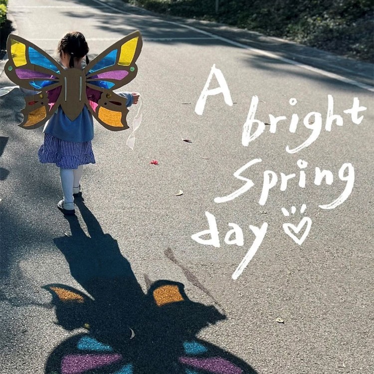 DIY Light and Shadow Butterfly Wings Material Bag Children's Colorful Cellophane Handmade Transparent Film Colorful Transparent Plastic Sheet