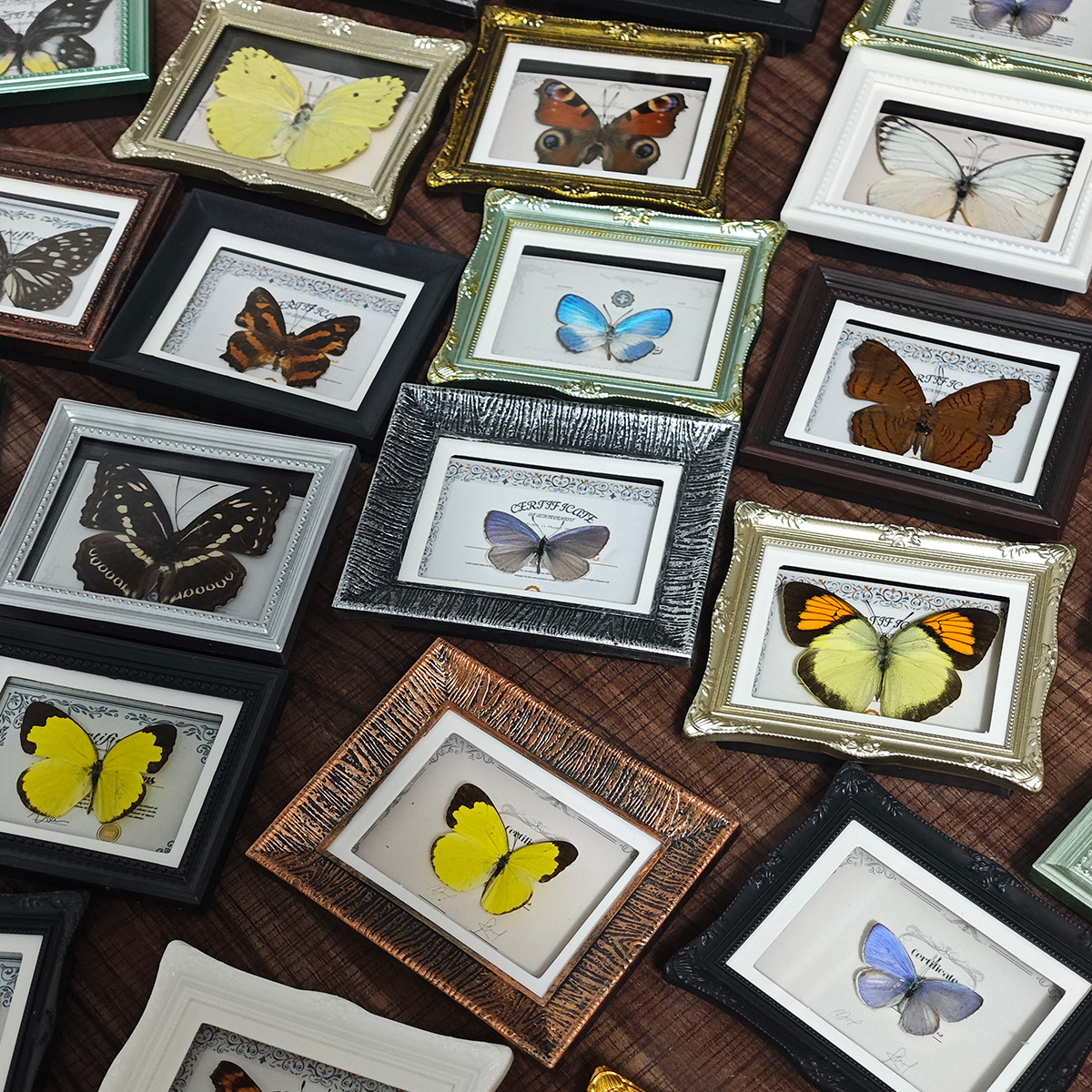 Natural Real Insect Butterfly Specimen Finished Small Photo Frame Magnetic Refrigerator Magnet Home Decoration Ornaments Birthday Gift