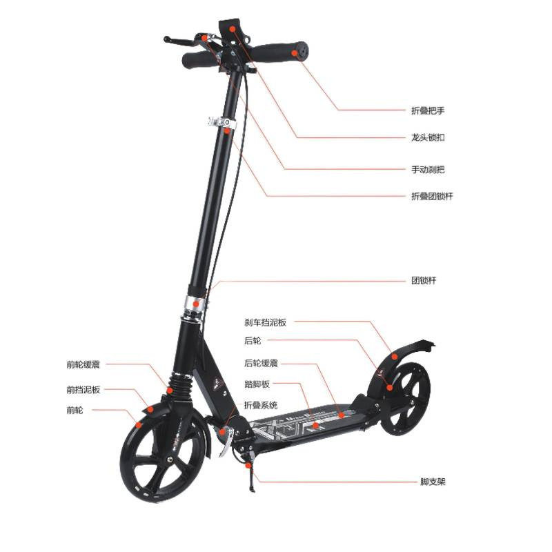 Cross-Border Popular Daily Student Scooter, Foldable Portable Scooter, Wholesale Adult Scooter for Transportation