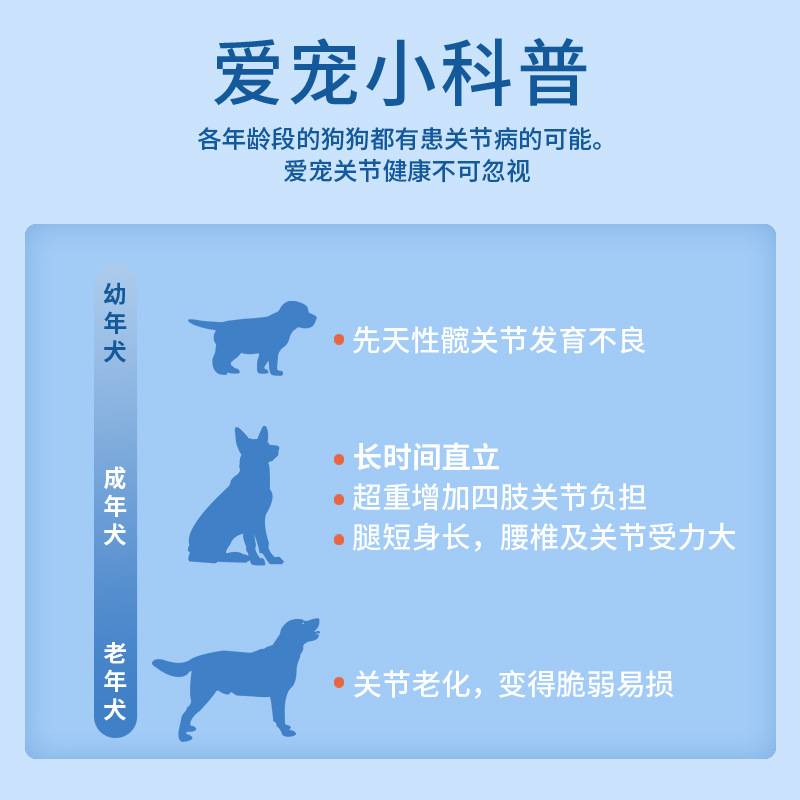 Pet Shark Chondroitin Calcium Tablets for Cats and Dogs, Universal for Kittens and Puppies, Healthy Calcium Tablets, 200 Tablets, Ready for Customized Delivery