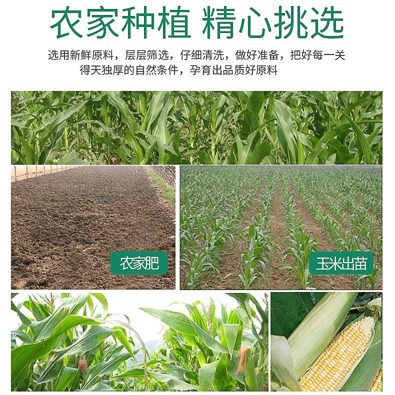 Corn Kernels Frozen Sweet 1000g Bagged Quick-Frozen Healthy Salad Side Dish Ready-To-Eat Frozen Vegetables for Commercial Use