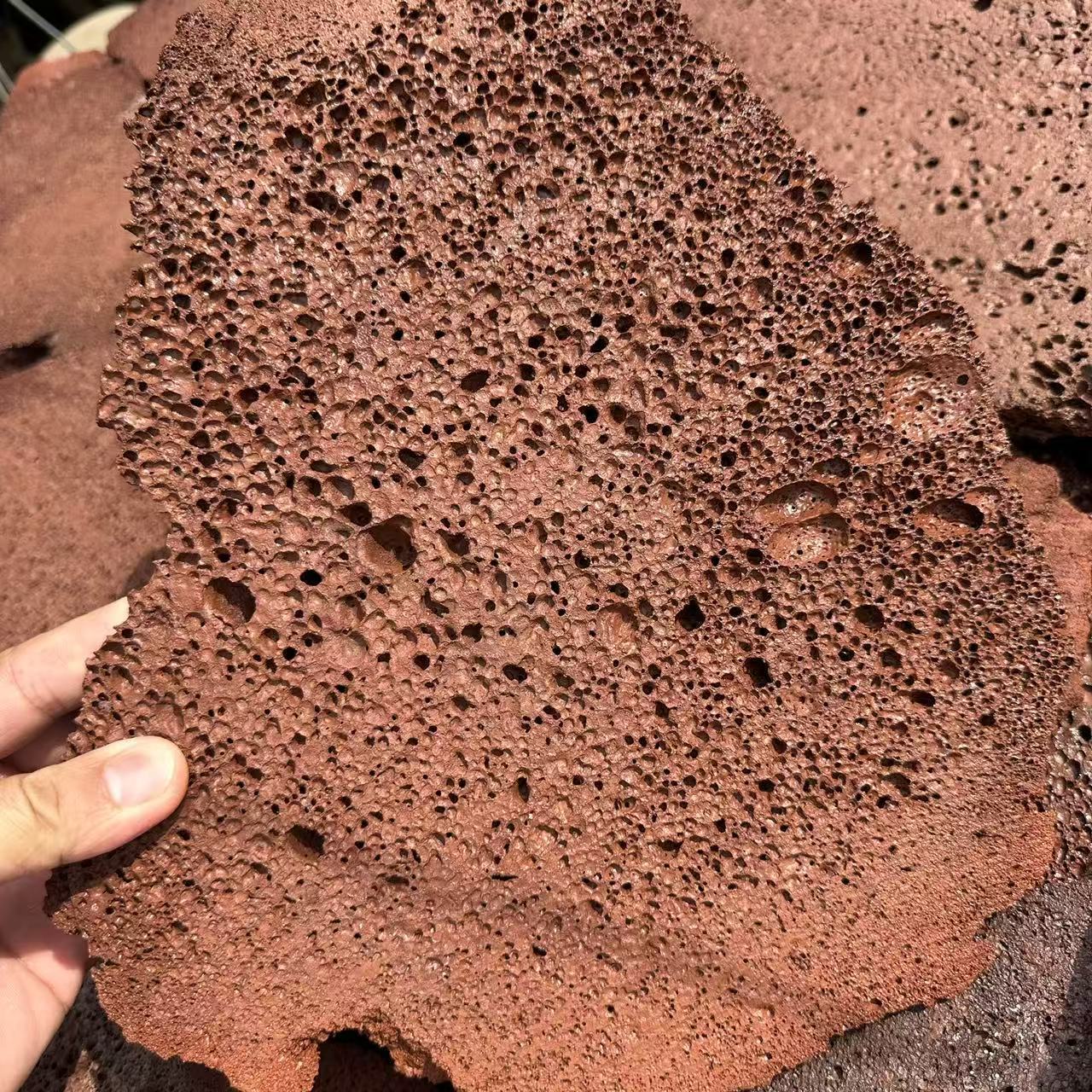 Volcanic Stone Slabs Available in Stock, Red/Black Volcanic Rock Slabs, Mushroom Stone, Honeycomb Stone Slabs