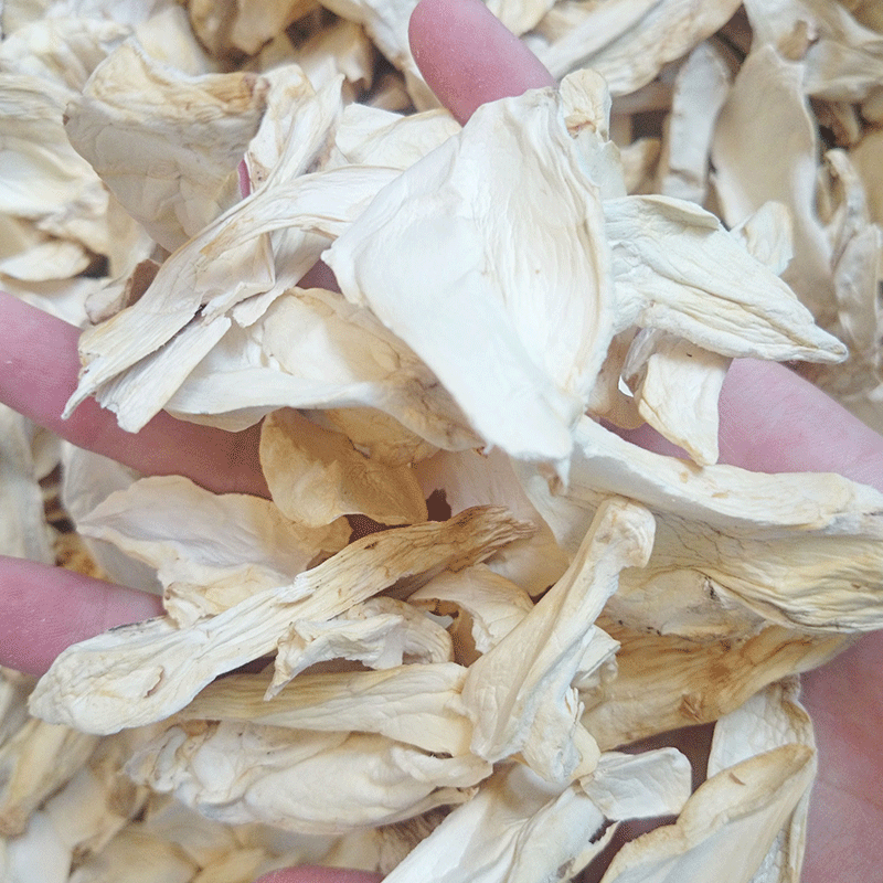 Pleurotus eryngii dried tablets 500g Pleurotus eryngii small pieces wholesale dried scallops mushroom oyster mushroom dried edible fungus