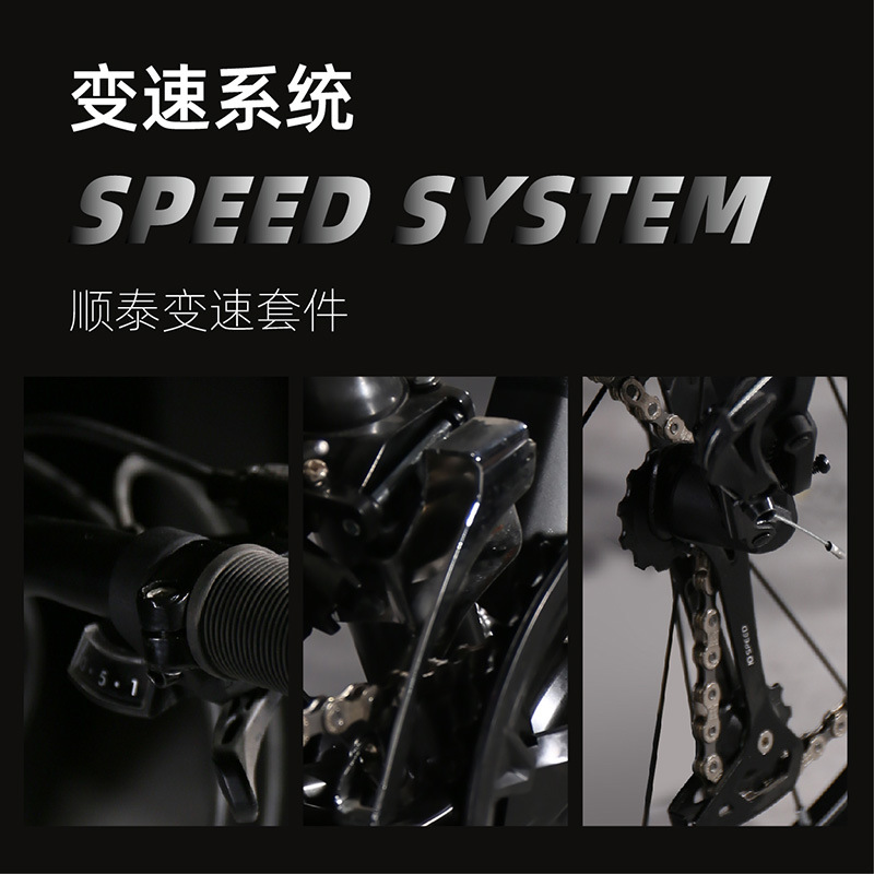 Flying Pigeon Brand Mountain Bike Men's Variable Speed Off-Road Bike Teenagers Middle School Students Ladies Road Racing Adult