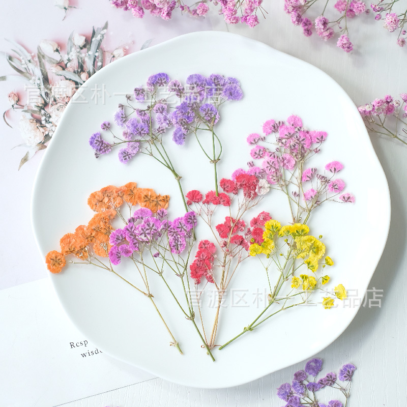 Dyeing dried flower flower flower handmade material flower factory base wholesale procurement pressedfolwers