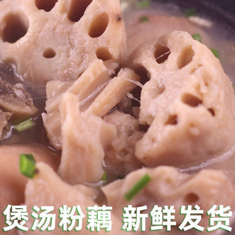 Fresh Lotus Root from Honghu, Fragrant and Glutinous, Hubei Specialty, Freshly Dug Nine-Hole Lotus Root with Mud, Suitable for Soup/Wholesale