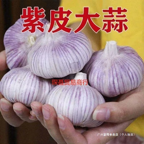 Оптовая продажа сушеных чесночных головок с фиолетовой кожурой, сезонные свежие овощи, чеснок с красной кожурой, 5 целых коробок фиолетового чеснока, фермерское производство