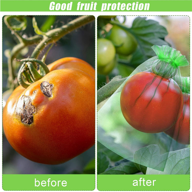 Cross-Border Fruit Protection Bag Grape Fruit Insect-Proof Mesh Bag Mesh Seed Bag Organza