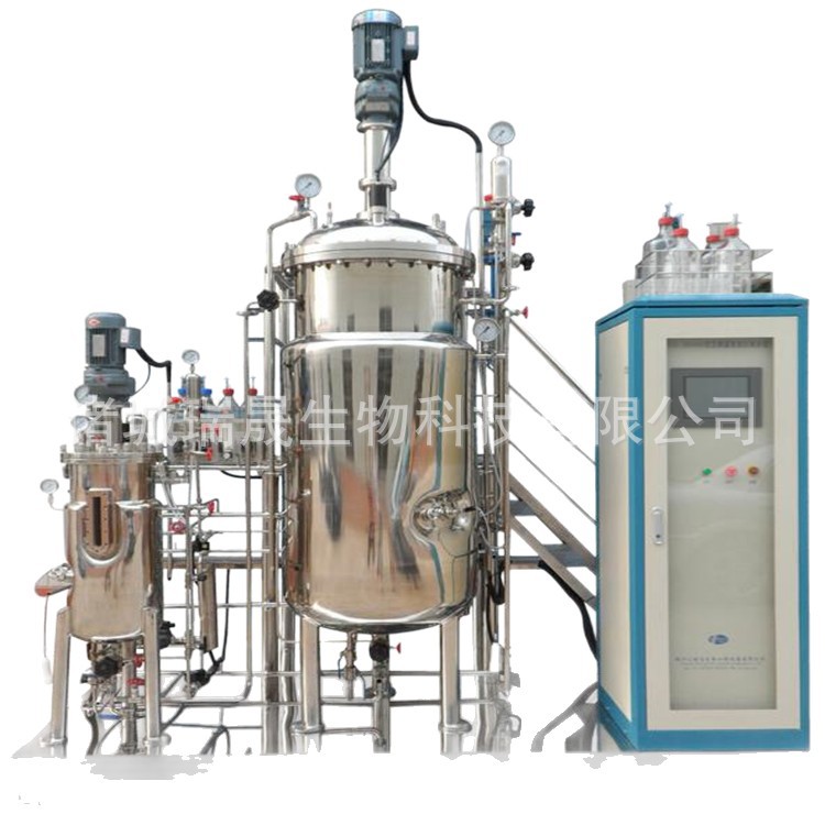 Bacillus Subtilis Fermentation Tank 100-1000L Microbial Fermentation Tank Ruisheng High Temperature Sterilization Fermentation Machine