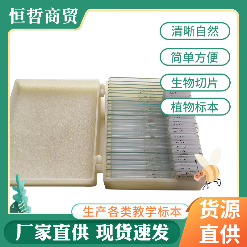 Набор из 10 срезов для микроскопа, стеклянные слайды, учебное оборудование для биологии