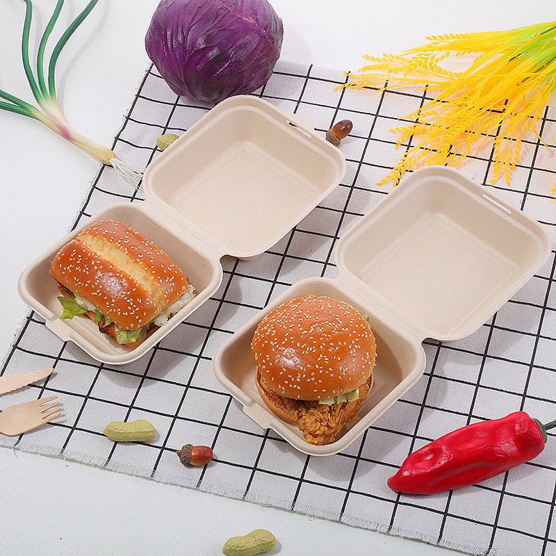 Disposable Lunch Box Internet Celebrity Cake Box Hand-Painted Sugar Cane Pulp Biodegradable Hamburger Box Takeaway Packaging Box